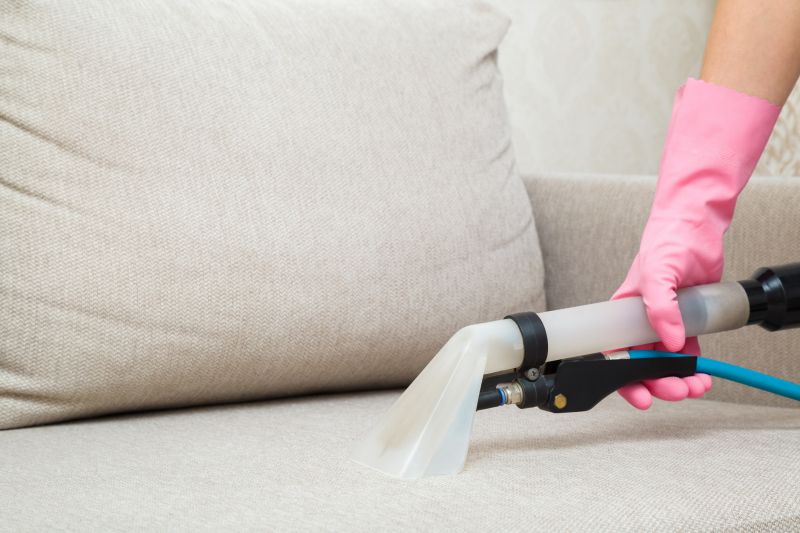 Couch Cleaning Service Options and Details