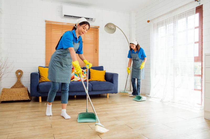 Couch Cleaning Service