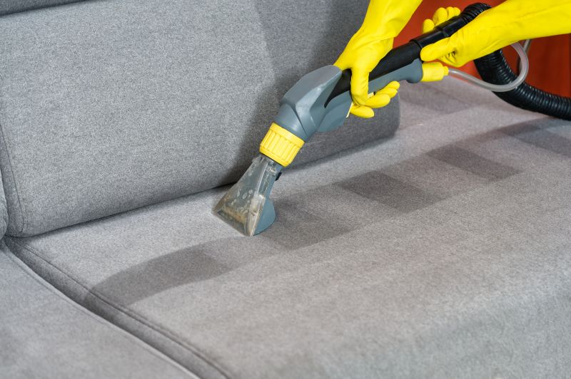 Couch Cleaning in Spring